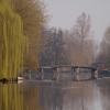 A_Millot (2)