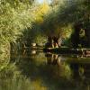 A_Millot (3)